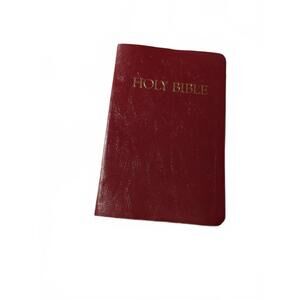 Holy Bible Children's Bible: New Revised Standard Version NSRV | Red Page - 2006